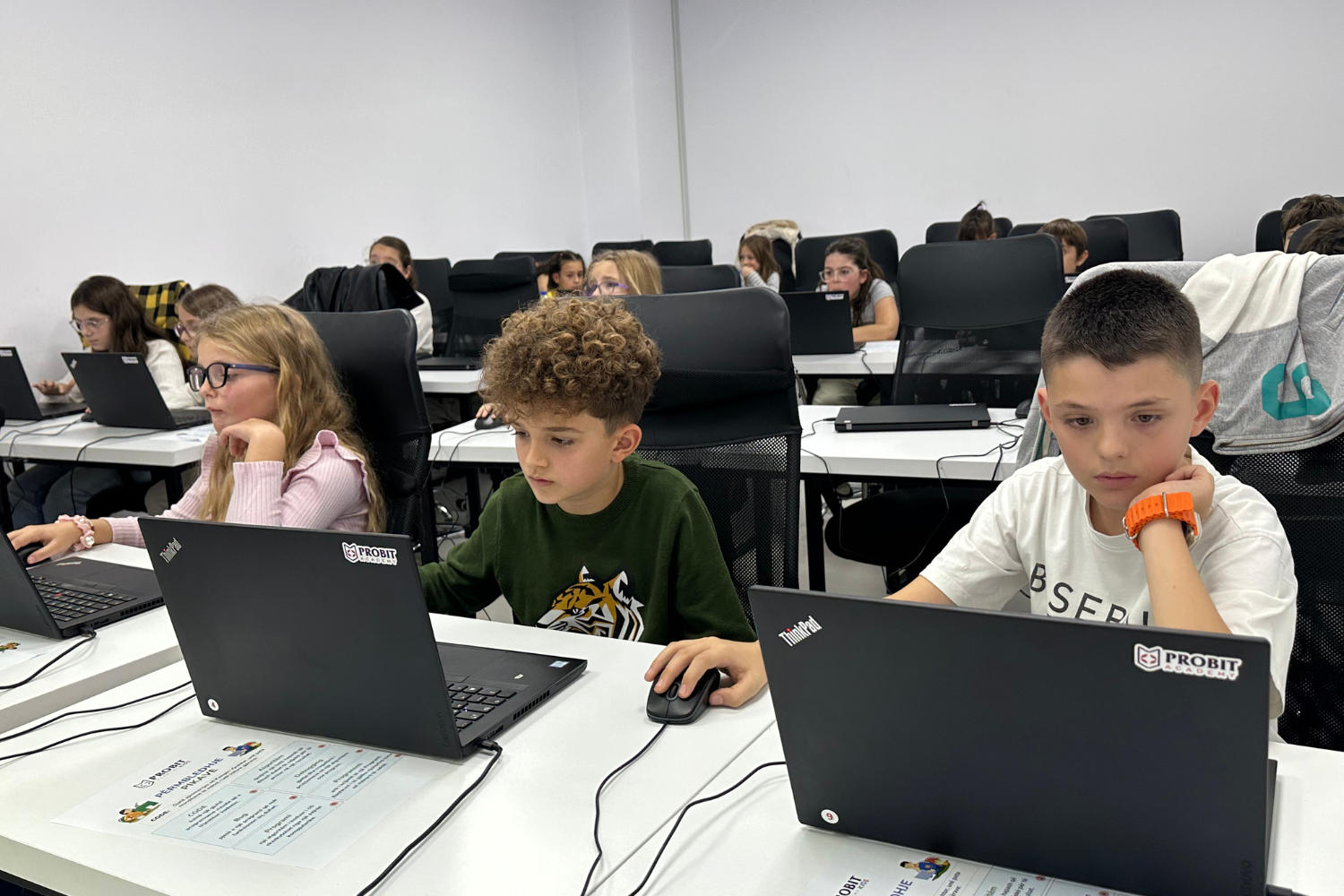 Aktivitete Probit Academy